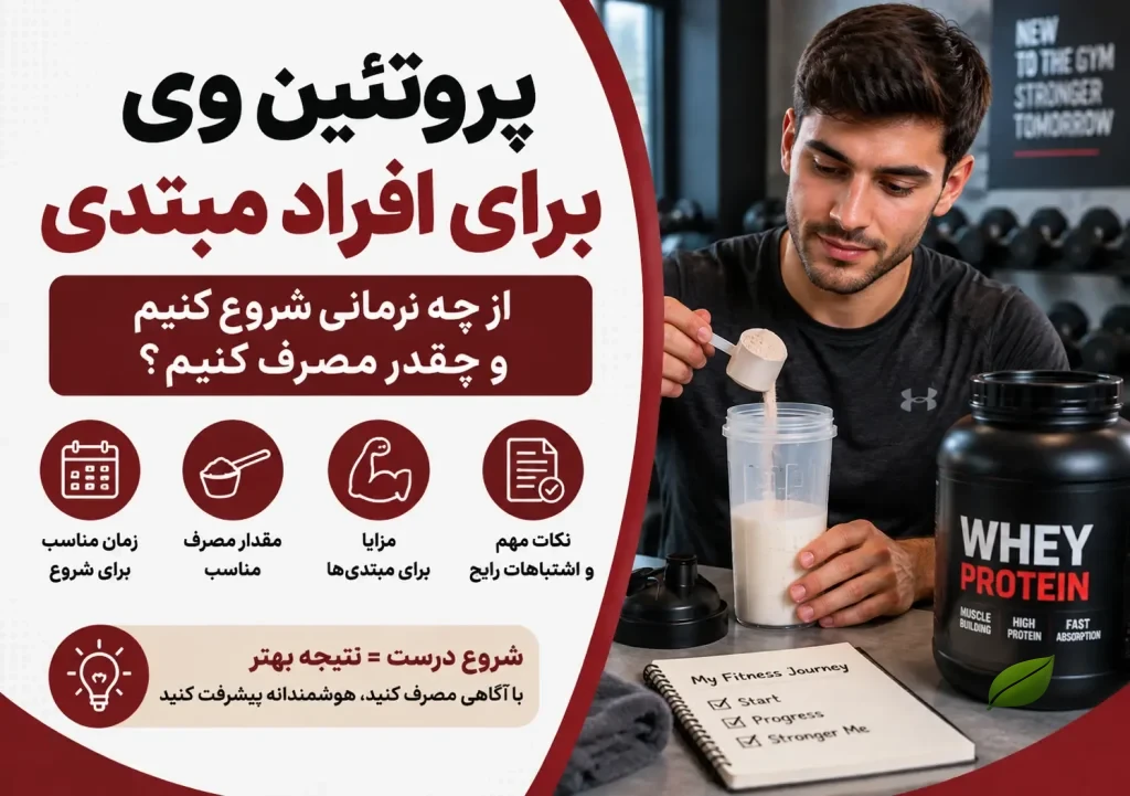 پروتئین وی برای افراد مبتدی